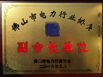 電建集團(tuán)榮獲佛山市電力行業(yè)協(xié)會(huì)“副會(huì)長(zhǎng)單位”